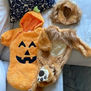 Lion costume pumpkin costume 0-6mos